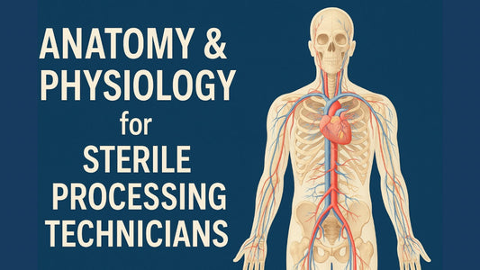 Learn Anatomy and Physiology